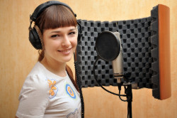   Vicoustic Flexi Screen -         