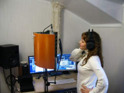   Vicoustic Flexi Screen -         