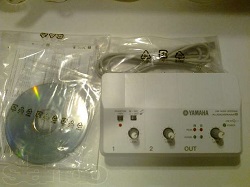   Yamaha Audiogram 3