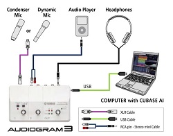   Yamaha Audiogram 3